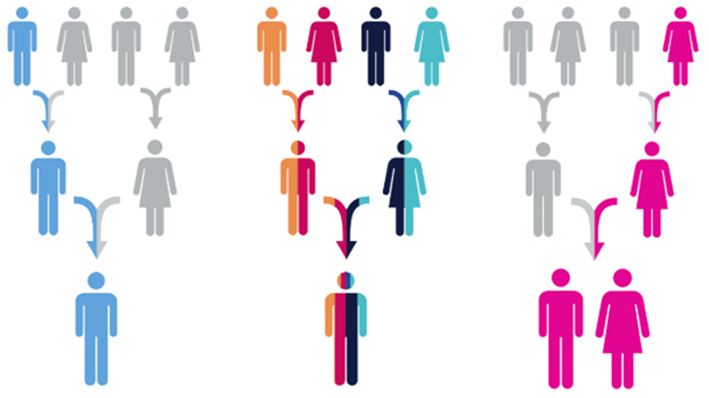 3 Types of DNA